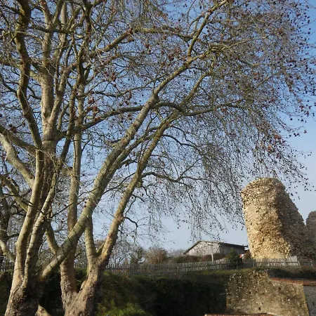 Grain De Sable Et Son Jacuzzi Talmont-Saint-Hilaire